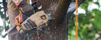 Best Lawn Irrigation Installation and Maintenance  in , GA