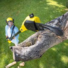 Best Artificial Turf Installation  in , GA