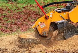 Best Aeration Services  in , GA