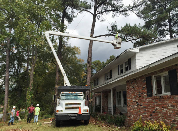  , GA Tree Care Pros